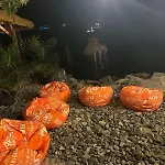 شقة Paradise Bay D8
