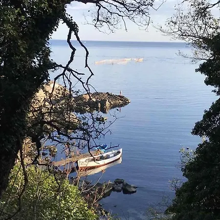 Paradise Bay D8 Sozopol