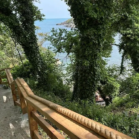 Paradise Bay D8 Sozopol